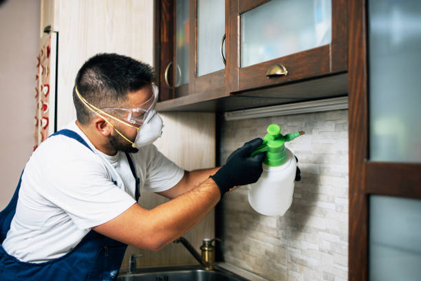 Best Cockroach Control Services  in Hooks, TX