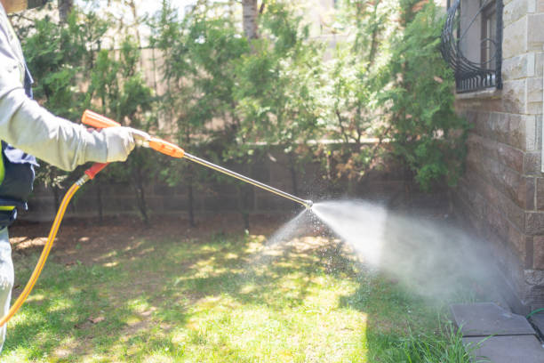 Best Affordable Pest Control Services  in Hooks, TX