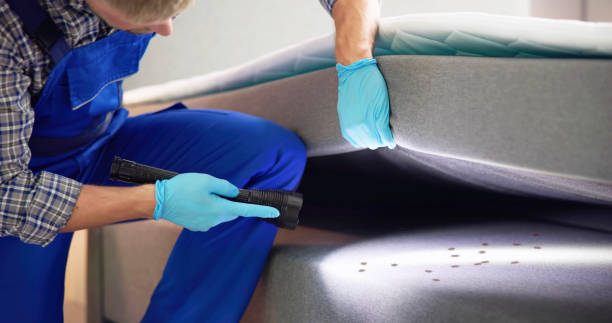 Best Bed Bug Extermination  in Hooks, TX